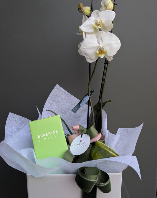 'Feel Good' Bundle