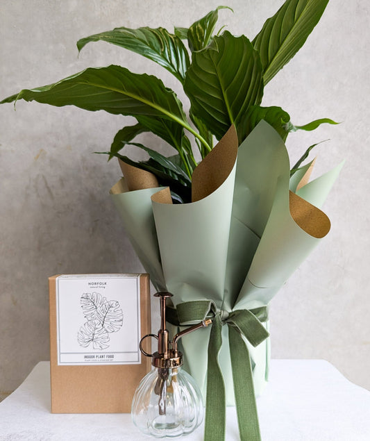 PROUD PLANT PARENT BUNDLE